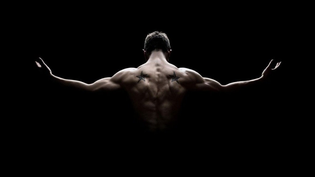Muscular V-Taper Aesthetic Back